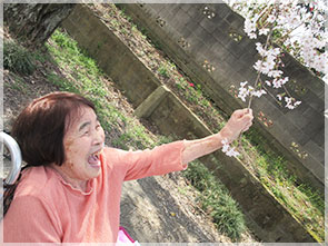 花見イベント1