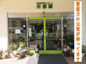 やる気ある人　大募集！！1